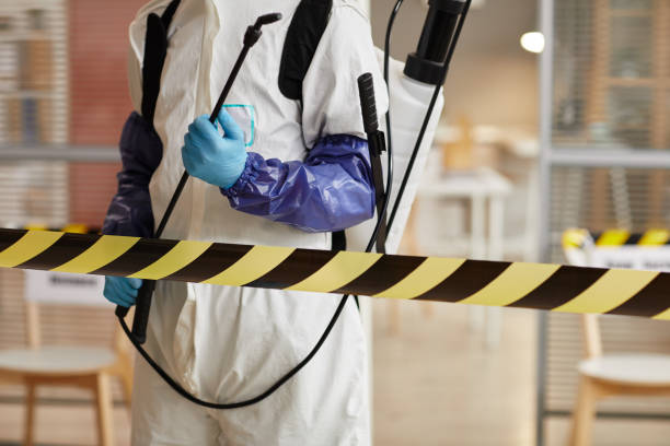 Professional Sewage Cleanup technician working in Calimesa, CA